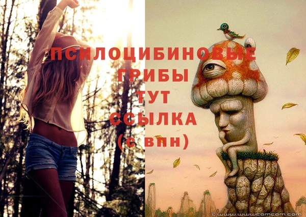 кокс Арсеньев